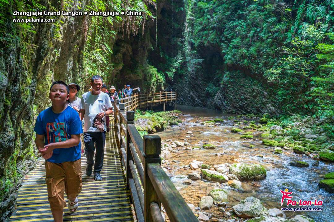 Zhangjiajie Grand Canyon